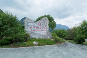 Unclassified image, 2 of 44, button - yiranju (Yueqing)