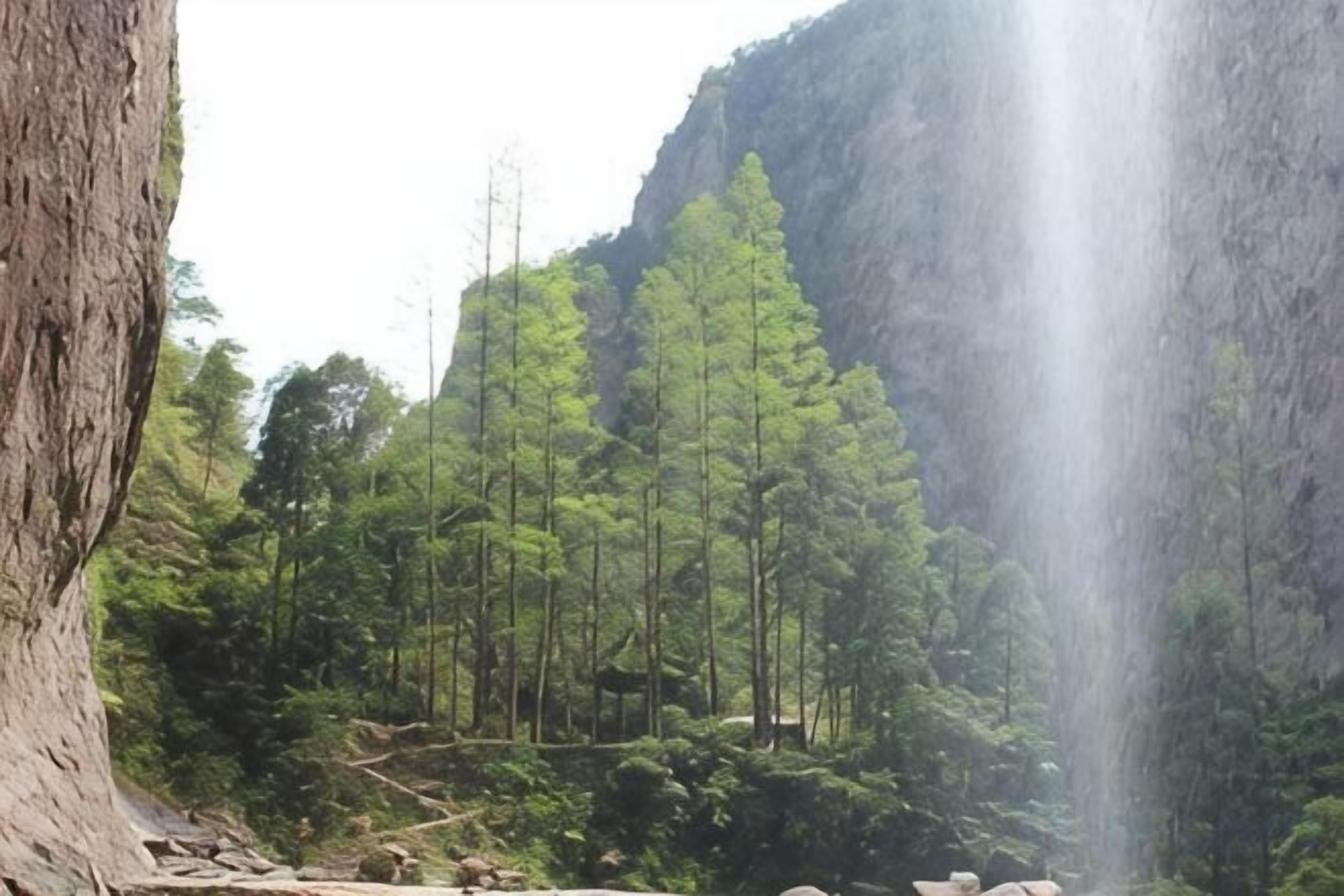 Een waterval in een bebost gebied met een grote boomstam aan de linkerkant.