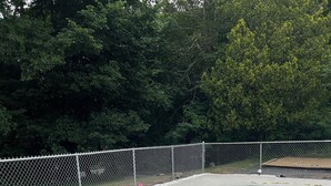 A rectangular swimming pool with a concrete deck, surrounded by a chain-link fence and trees.