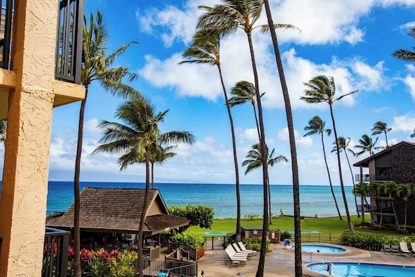 A resort with a pool, palm trees, and a view of the ocean.