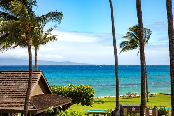 A beachfront property with a covered patio, palm trees, and a view of the ocean.