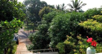 Little Paradise Kovalam 1