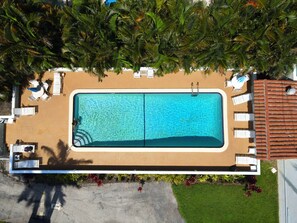 An aerial view of a rectangular swimming pool with a tiled deck, surrounded by lounge chairs and umbrellas, with palm trees overhead.