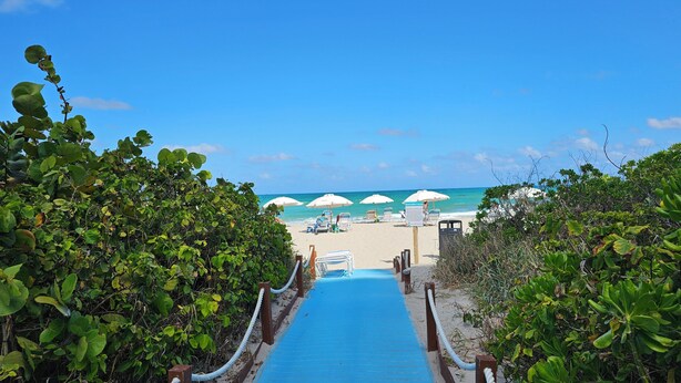 A beach pathway leading to a sandy beach with umbrellas and lounge chairs.