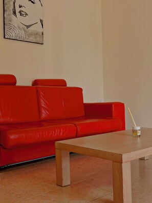 Smart-TV, Kamin