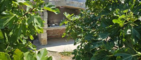 A rustic outdoor cooking area with a brick oven, surrounded by lush fig trees.