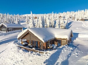 Exterior - Mountain paradise ⭐️ (Innlandet)