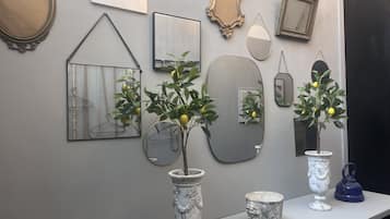 Luxury Studio, City View