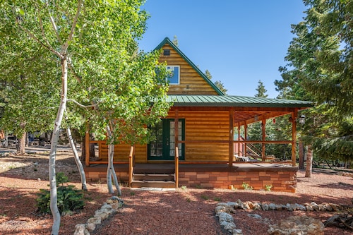 Cozy Cabin & Hot Tub Pet Friendly with AC and Fast WiFi in Duck Creek Village
