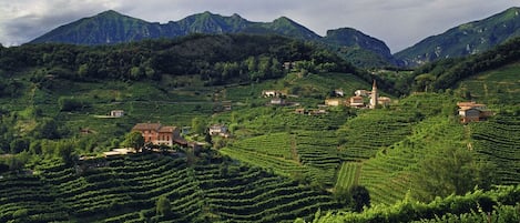 منظر من الجو على ارتفاع عالٍ