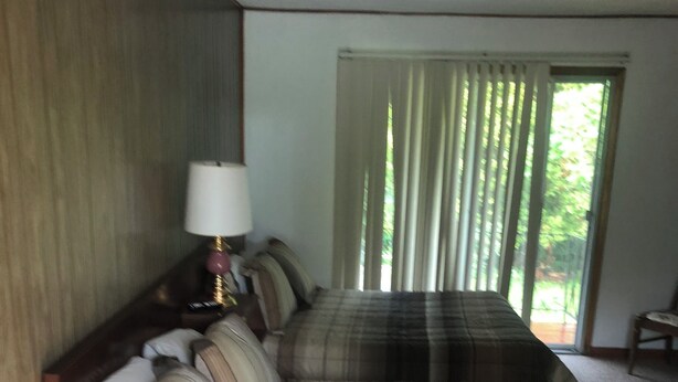 A bedroom with a large bed, a nightstand with a lamp, and a view of greenery through the window. - Delightful Apartment in the Mountains East Durham with AC, Dogs Friendly 2 max  (East durham)