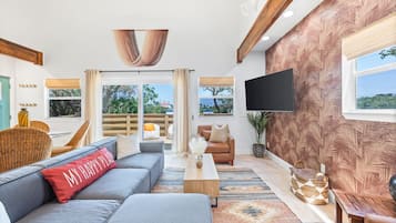 Smart TV, fireplace, books