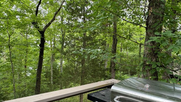 A portable grill on a wooden deck surrounded by a forest. - The Getaway @ Nolin  (Clarkson)