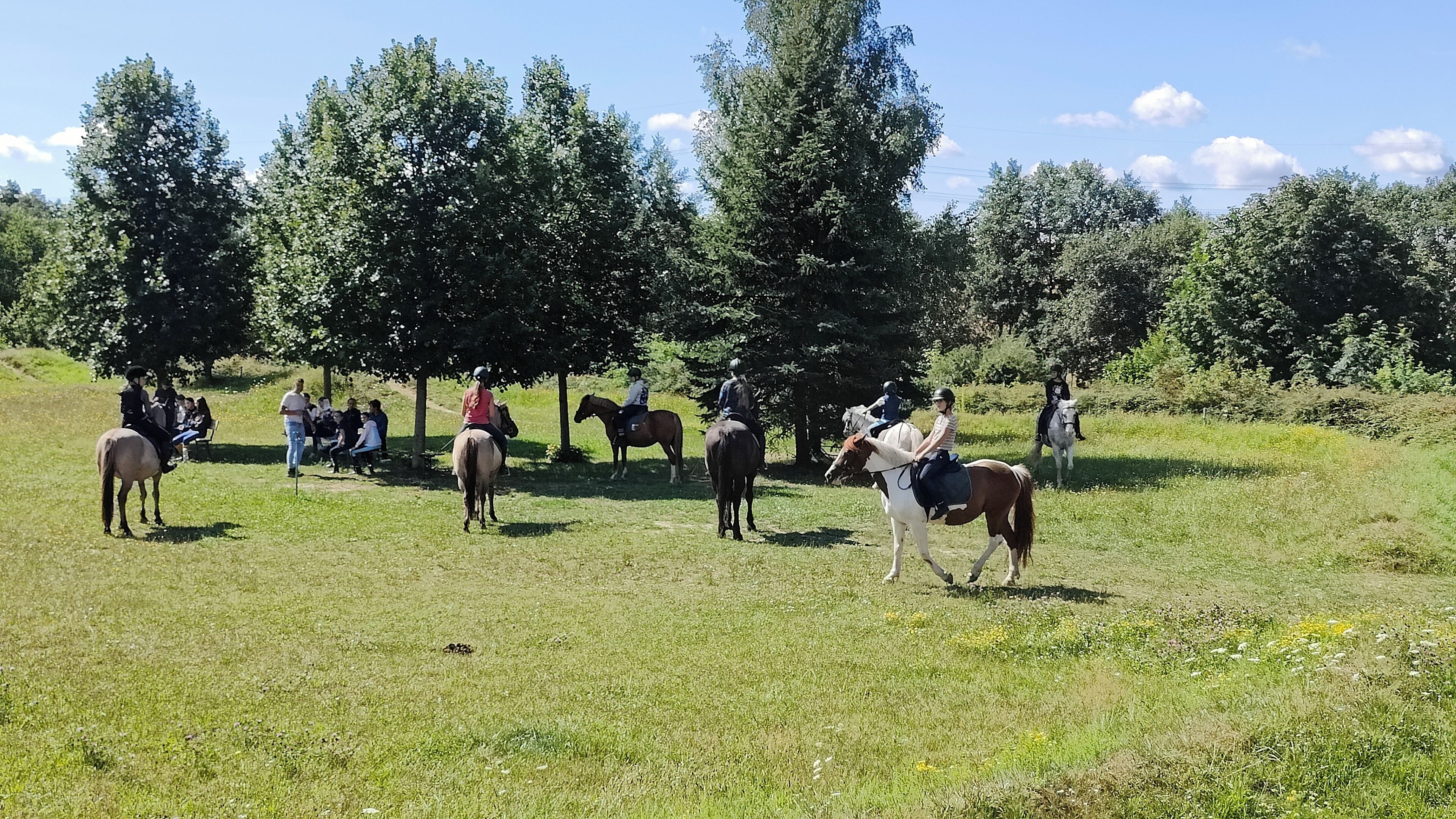 A group of people riding horses in a grassy field with trees in the background.