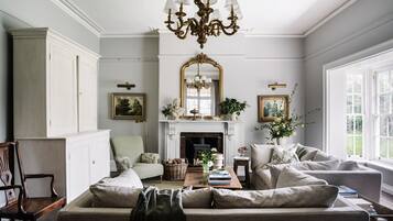 Smart TV, fireplace, books, stereo