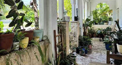 7 bedroom Beautiful, Clean - Coconut Grove