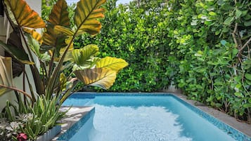 Outdoor pool, open 7:00 AM to 10:00 PM, sun loungers