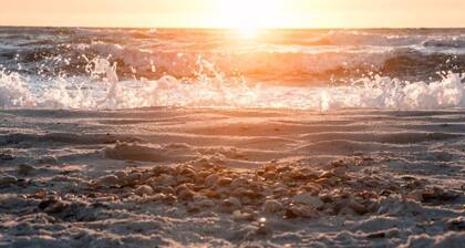 Crab Shack - Close to Downtown & Beaches - King Bed - Boat Parking - NO Pet Fees !