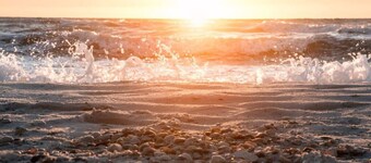 Crab Shack - Close to Downtown & Beaches - King Bed - Boat Parking - NO Pet Fees !