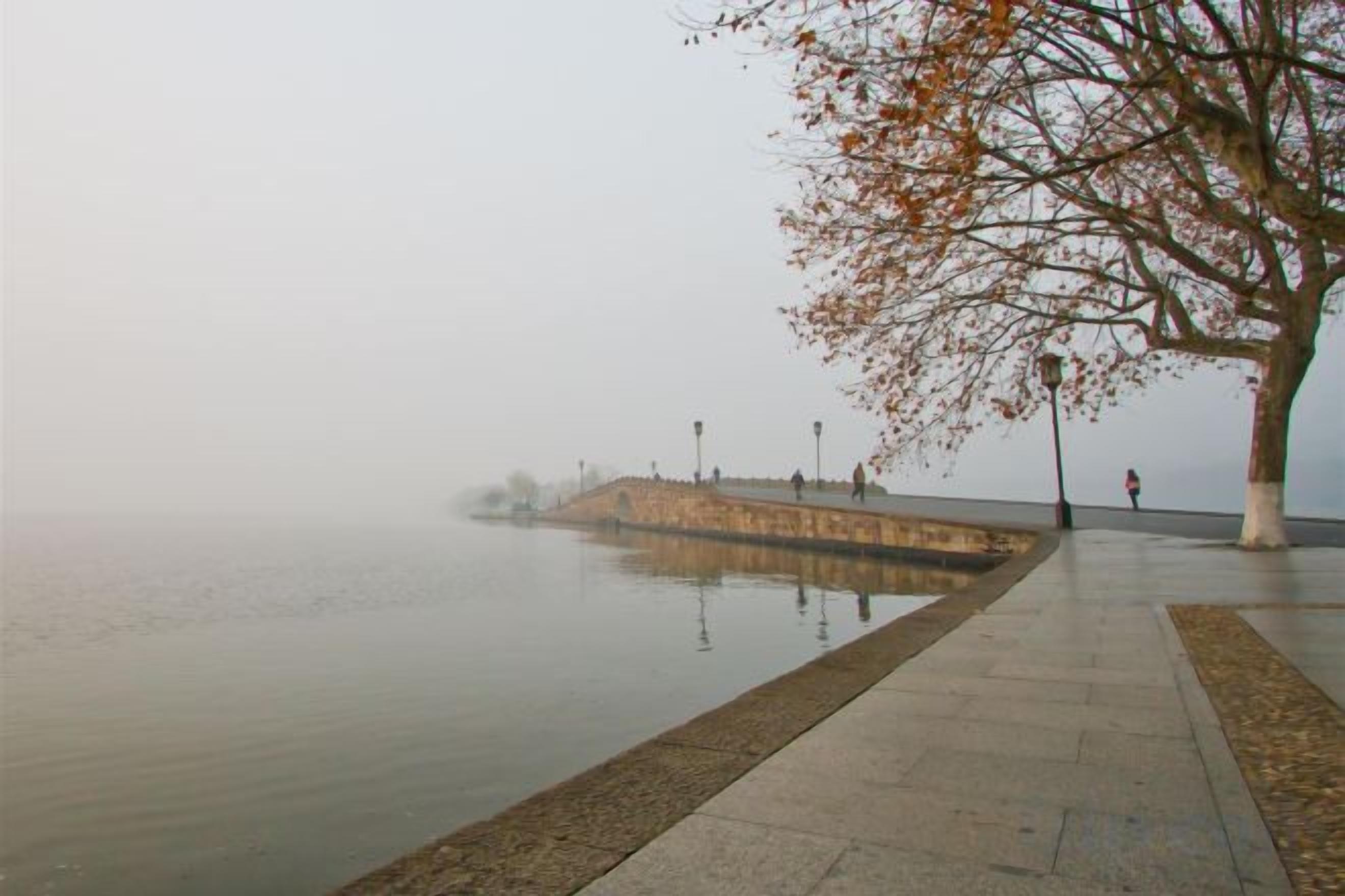 A foggy waterfront promenade with a tree and a distant structure.