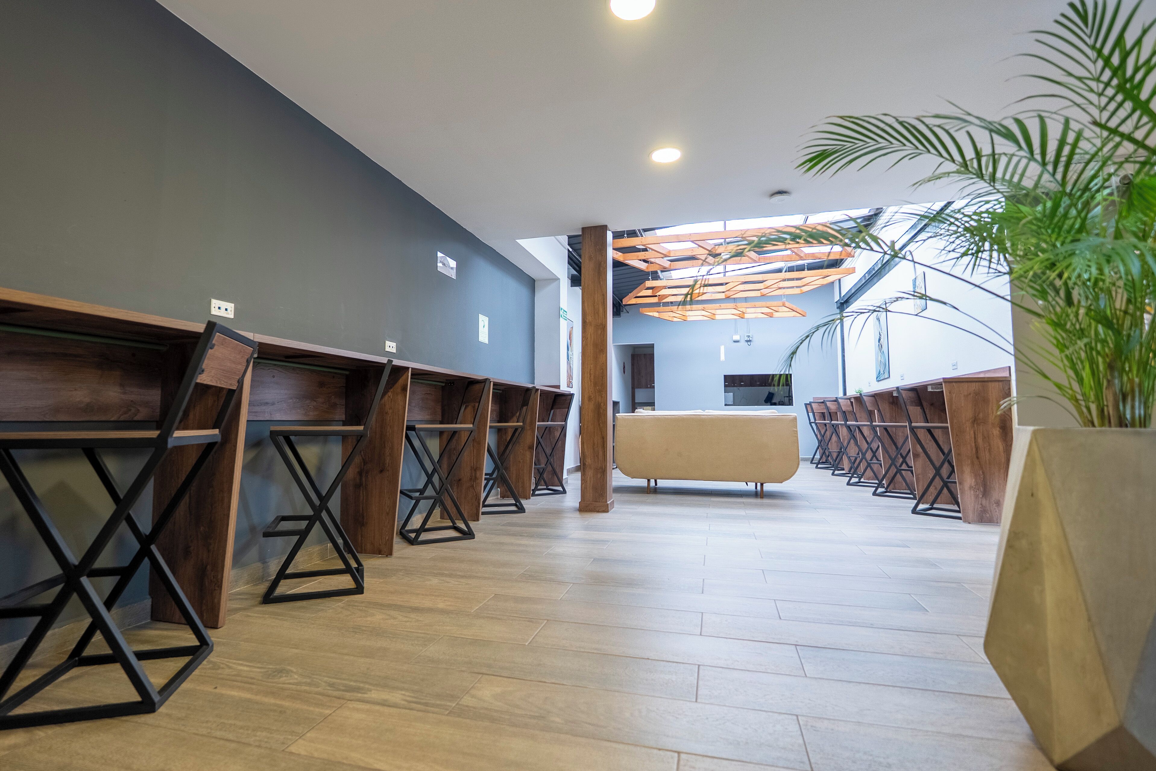 Photo - XLiving Host & Rooms