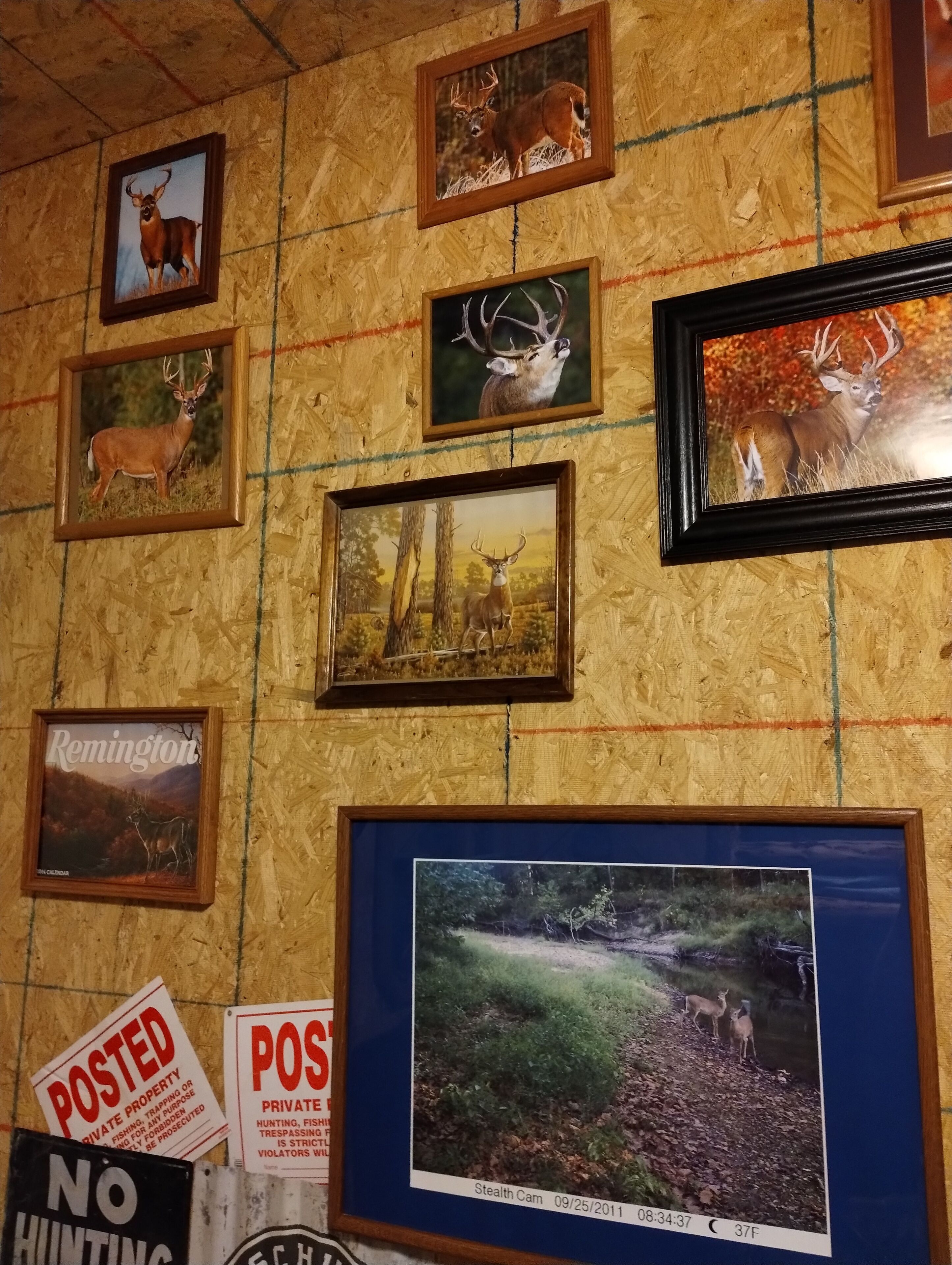 Un mur orné de photographies d’animaux sauvages encadrées, ainsi que de panneaux indiquant qu’il s’agit d’une propriété privée et que la chasse y est interdite.