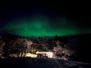 Eksteriør