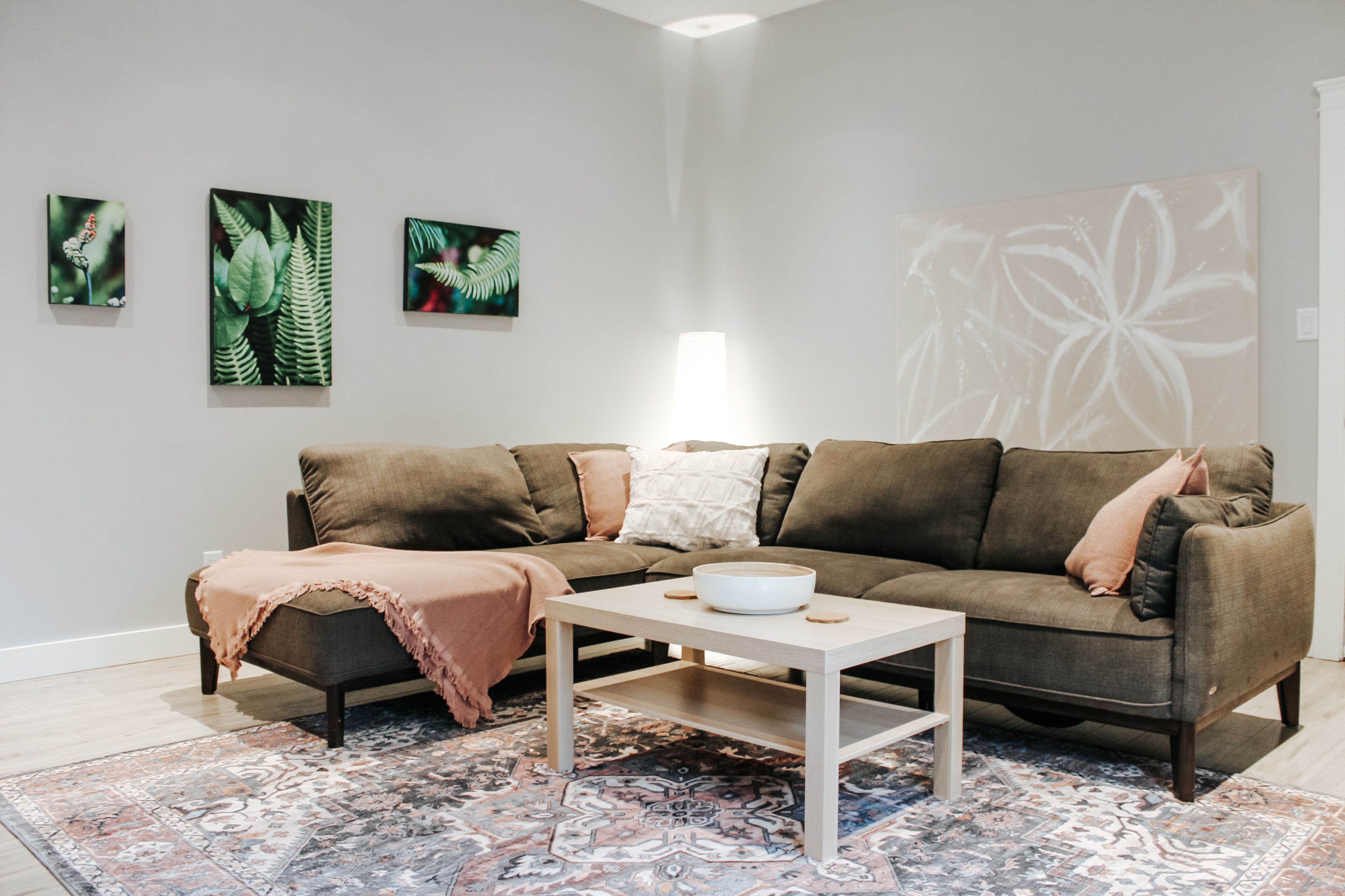 スマートテレビ、書庫