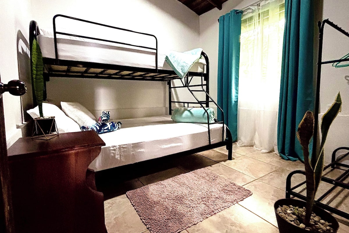 A bunk bed room with a small table, a potted plant, and a window with curtains.