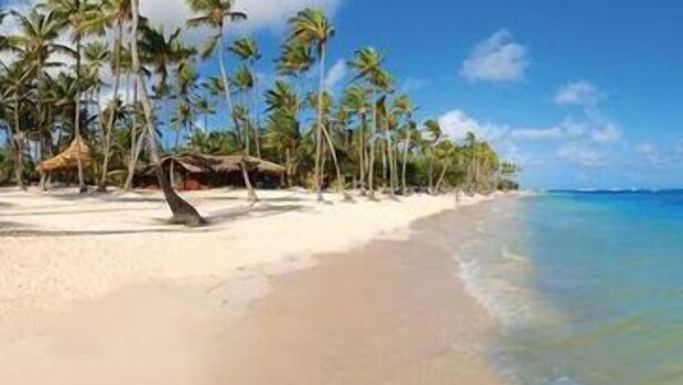 Ein Strand mit weißem Sand, Palmen und klarem, blauem Wasser.