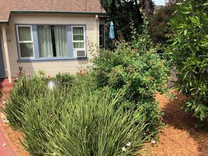 A house with a window, a blue awning, and a garden with green plants and red flowers. - Cozy 2-bedroom house in charming San Rafael with AC, WiFi (San Rafael)