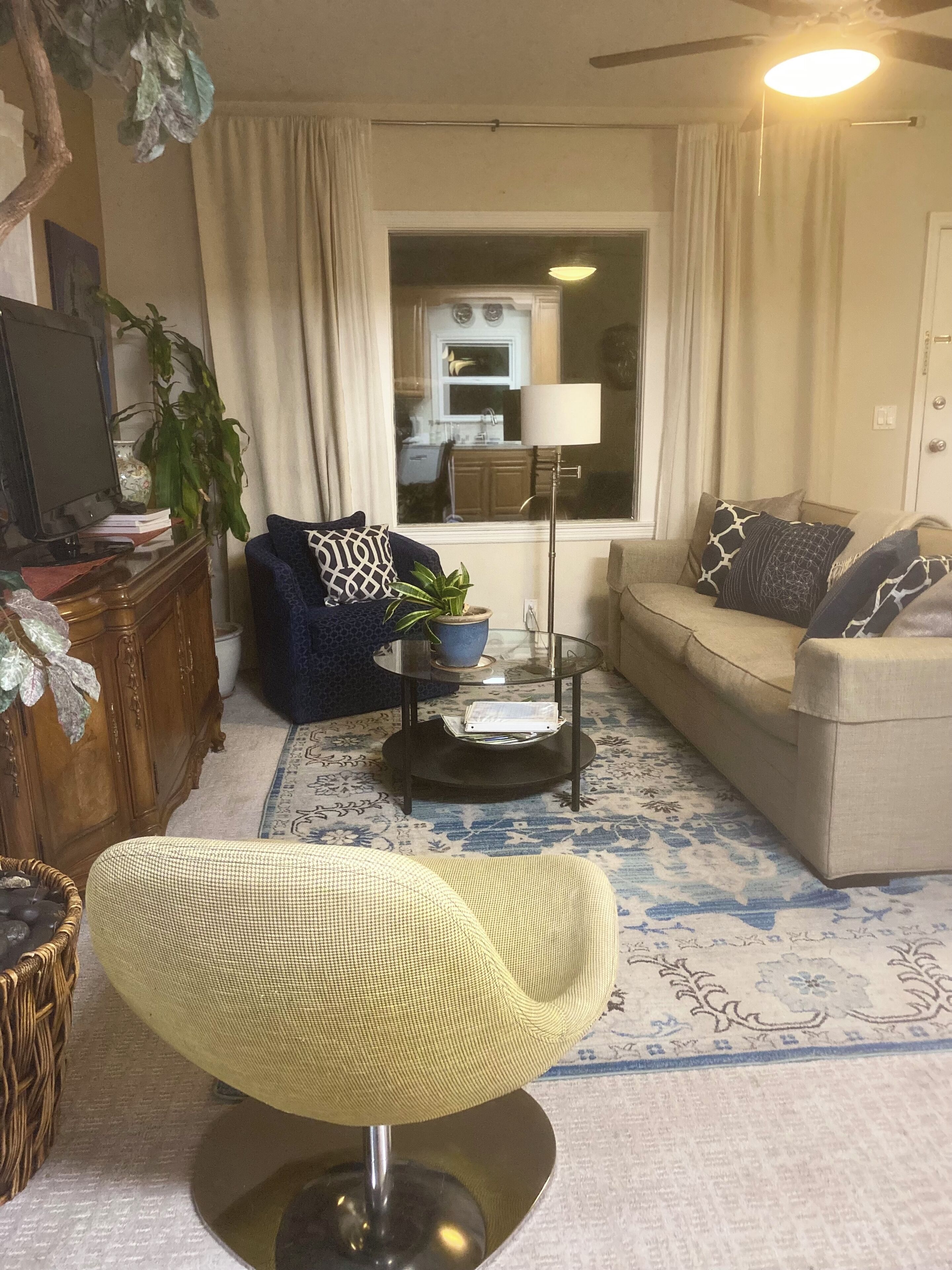 Smart TV, chimenea, reproductor de DVD y libros 