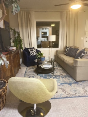 Smart TV, caminetto, lettore DVD, libri