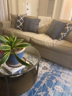 Smart TV, fireplace, DVD player, books