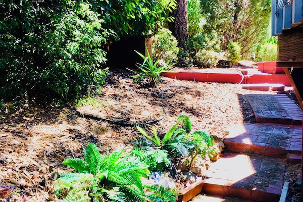 Àrea exterior de l'allotjament