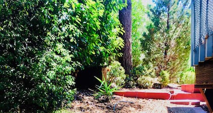 Cozy 2-bedroom house in charming San Rafael with AC, WiFi