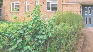 A multi-story brick building with multiple windows and a blue door. - Spacious 2BR Flat @ Summertown | Sleeps 7 | 5 Star (Oxford)
