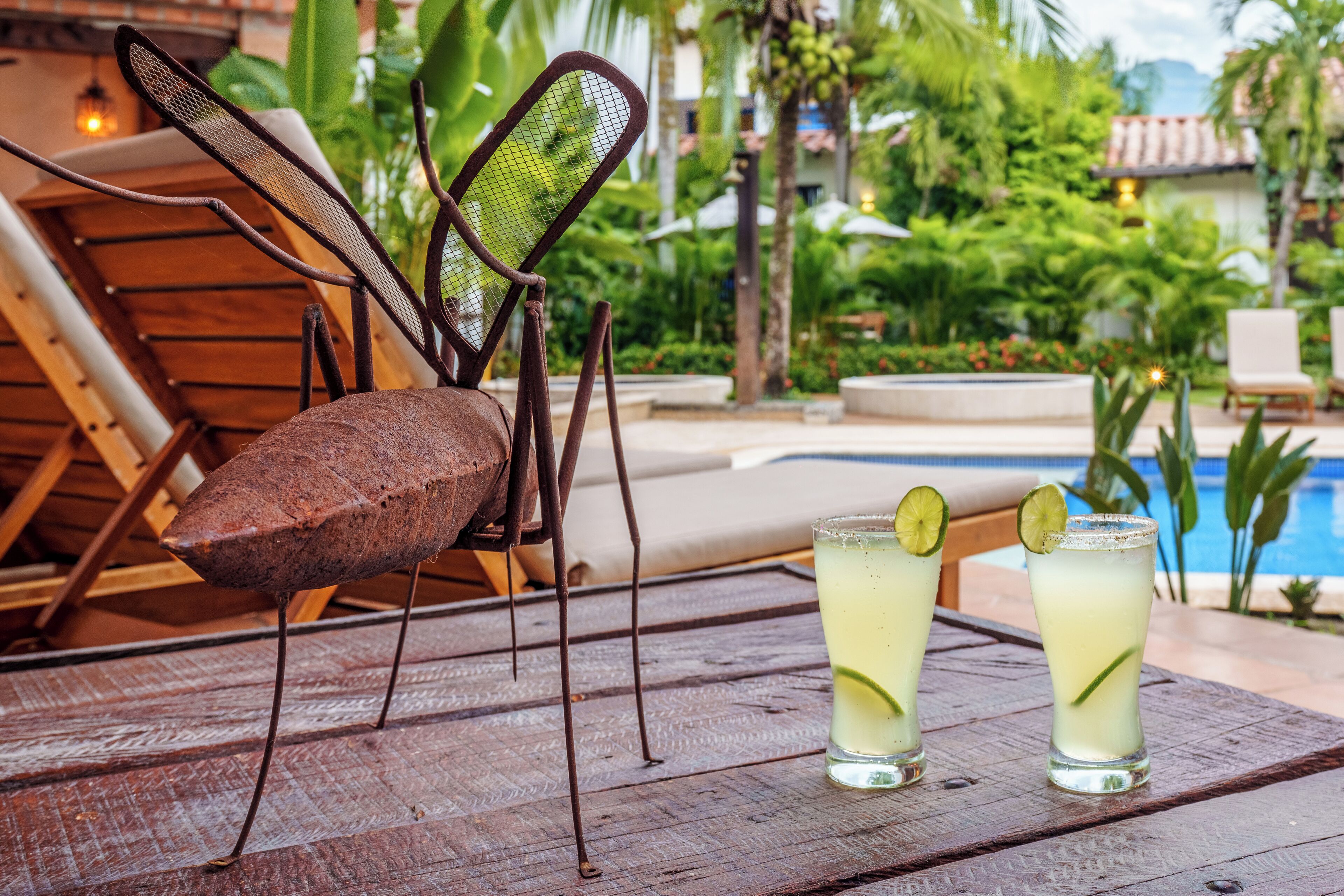 A wooden table with two glasses of a light-colored beverage, a rustic chair, and a pool in the background.