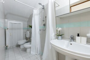 Shower, hair dryer, bidet, towels