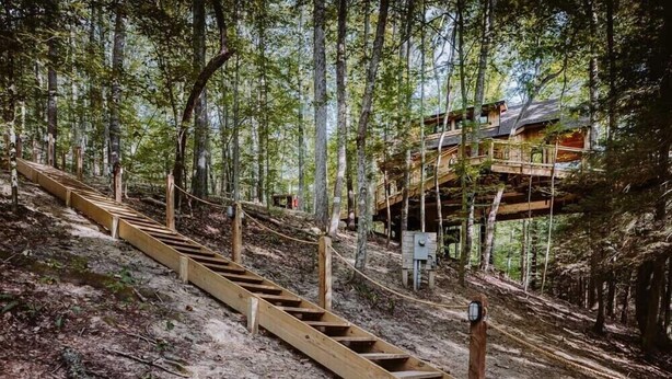 Una escalera de madera que lleva a una casa del árbol en un bosque.