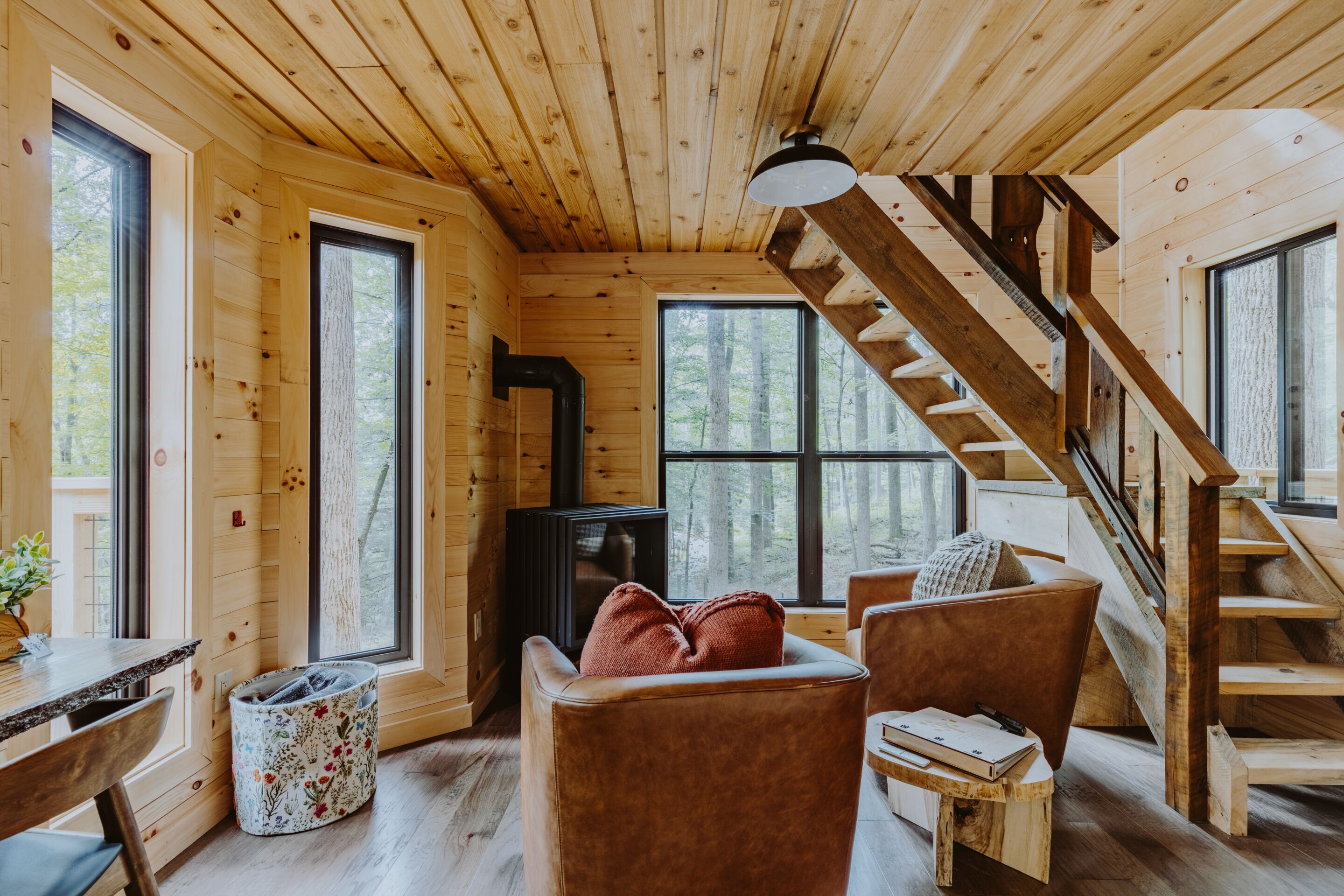 Televisión, chimenea y libros 