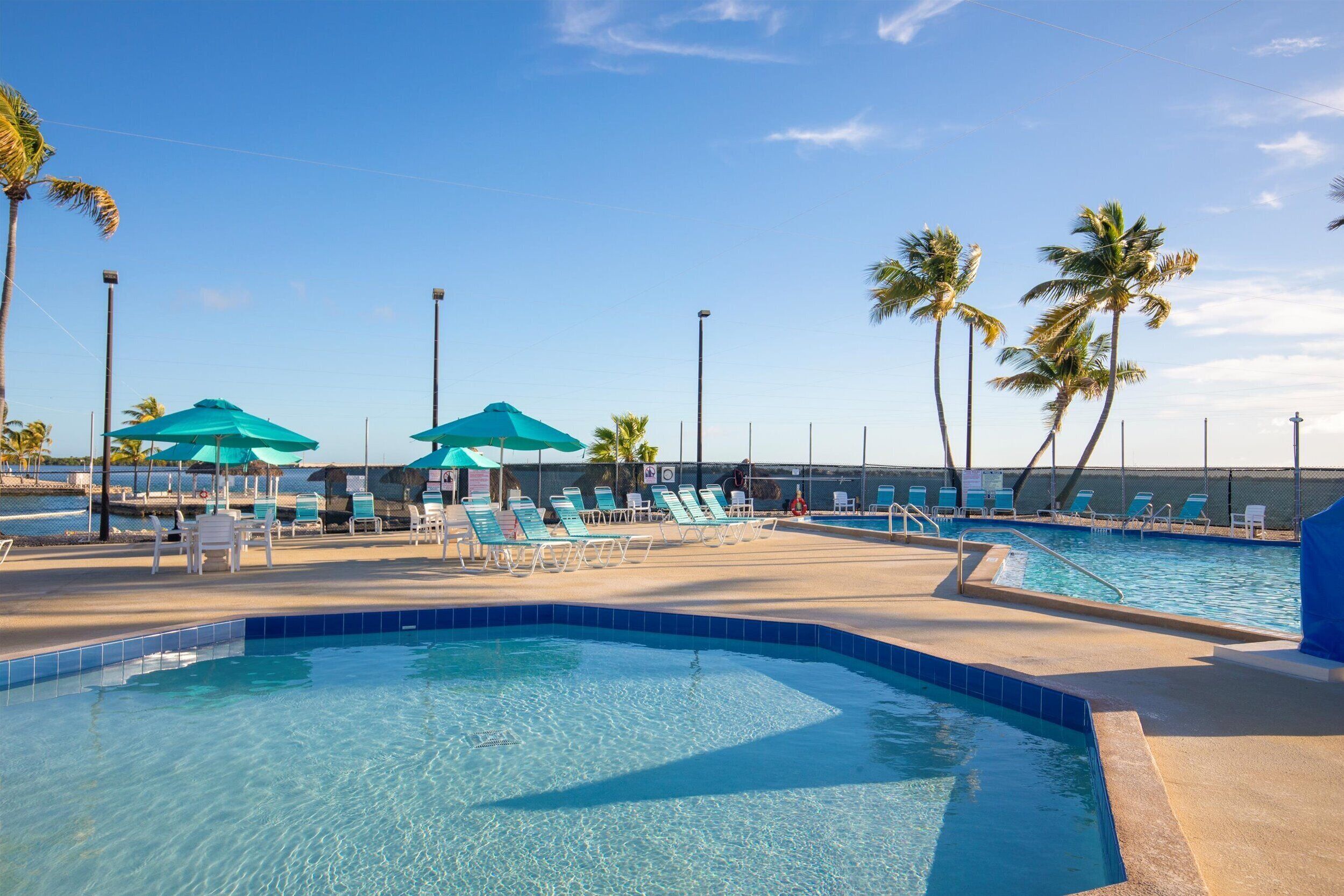 A pool area with multiple lounge chairs and umbrellas, surrounded by palm trees.