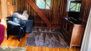 Smart TV, fireplace, books