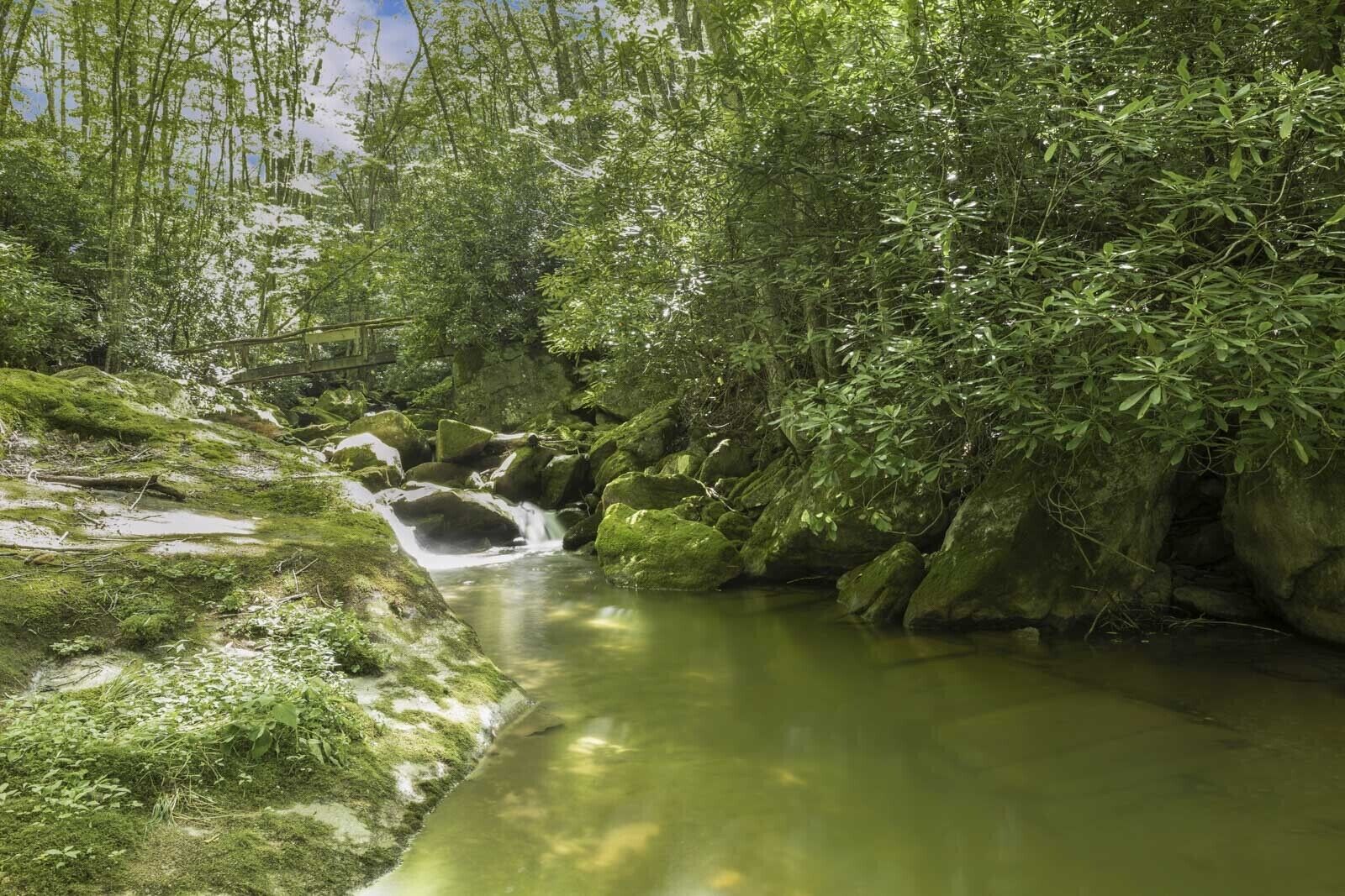 A natural water stream surrounded by lush greenery and rocks.