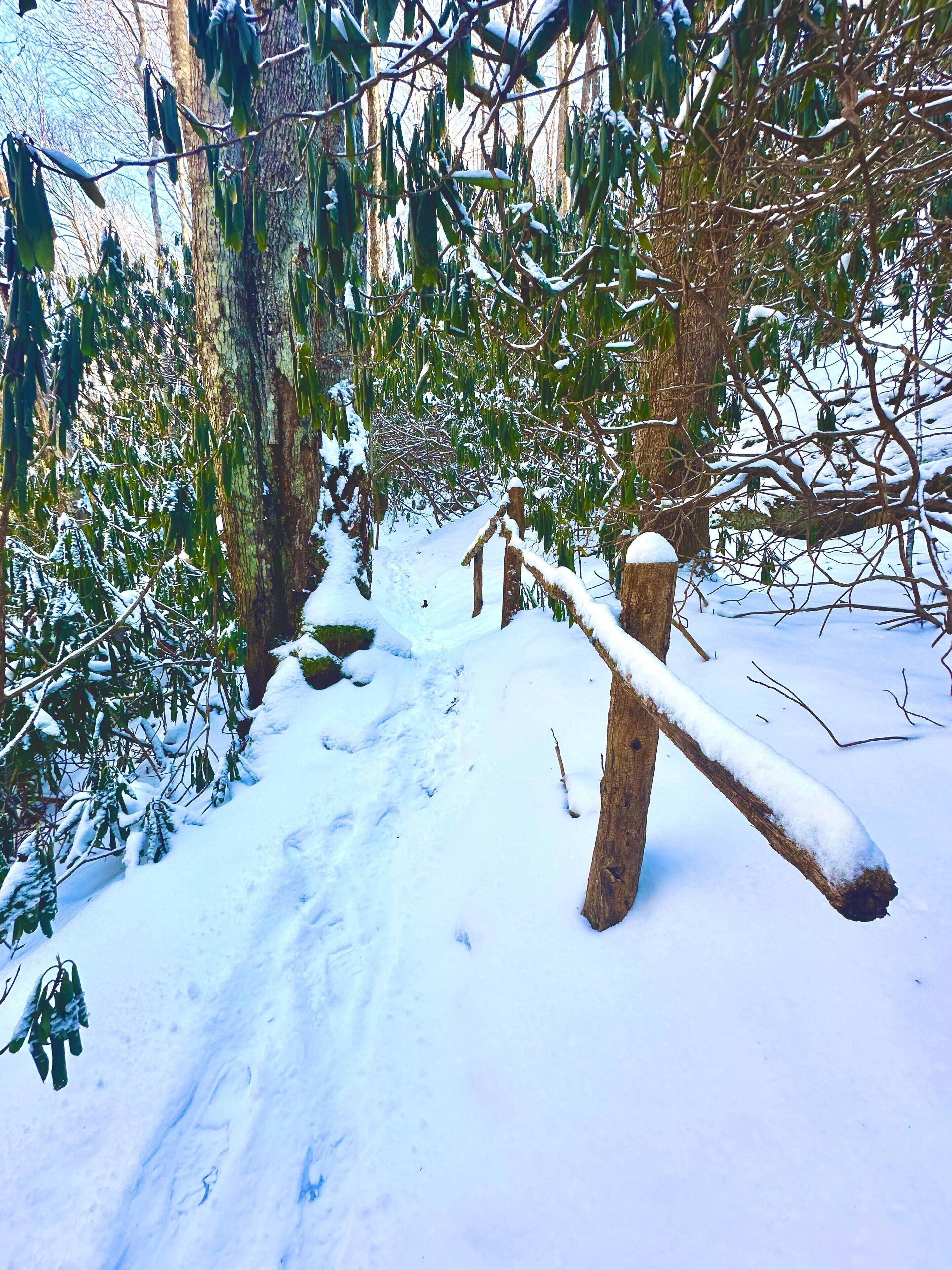A snow-covered outdoor area with a wooden swing set and trees.