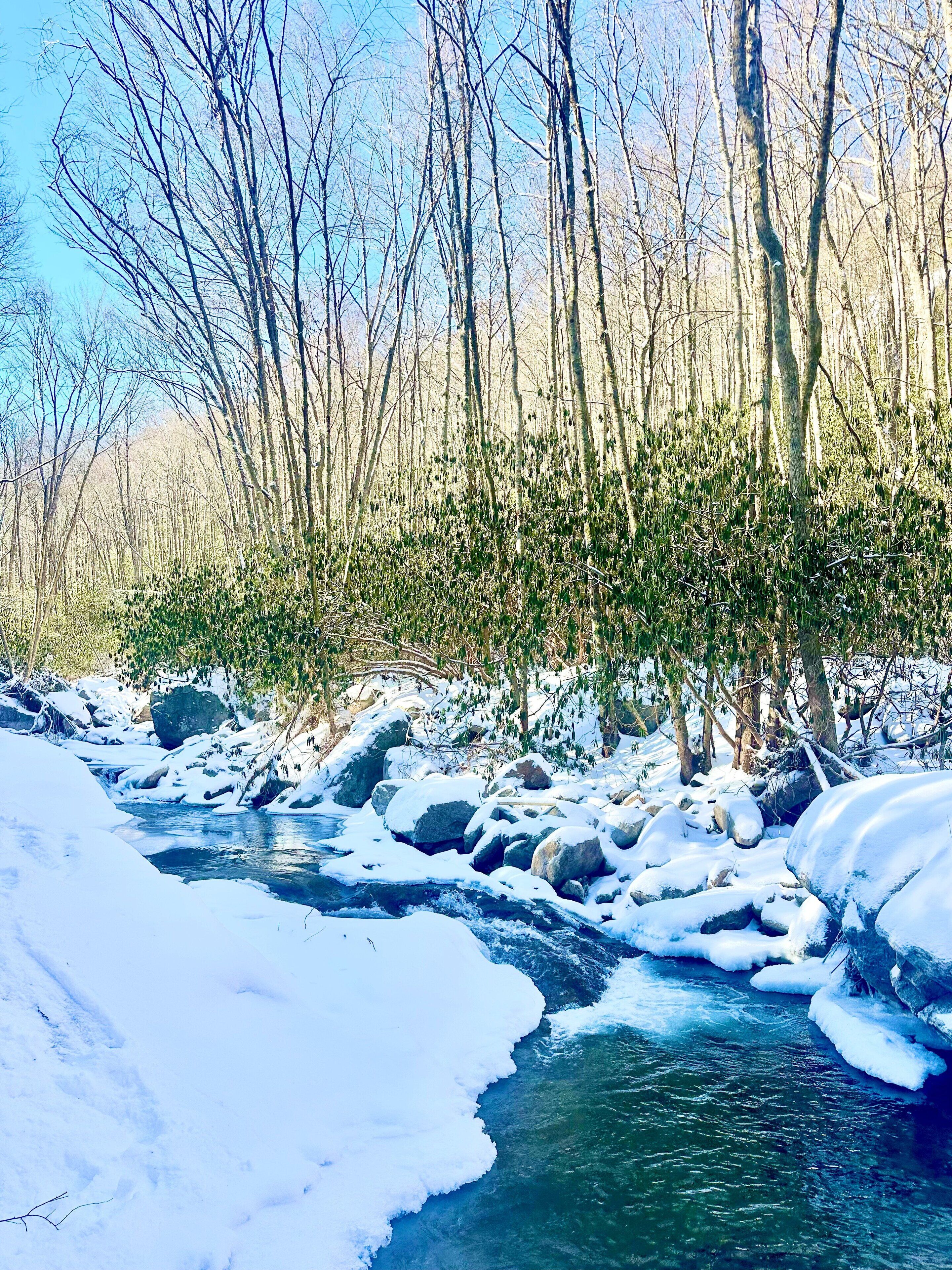 Une rivière qui traverse une forêt, avec des rochers et des arbres couverts de neige.