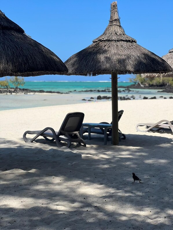 Beach - Joys Home Chambre et Salle de Bain Privées (Pointe aux Piments)