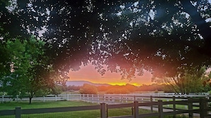 A fenced outdoor area with a grassy field and trees. - Cozy riverfront RV in the heart of wine country "Dandy @ Verde Retreat" (Cottonwood)