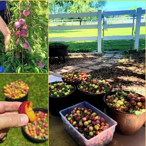 Áreas de la propiedad