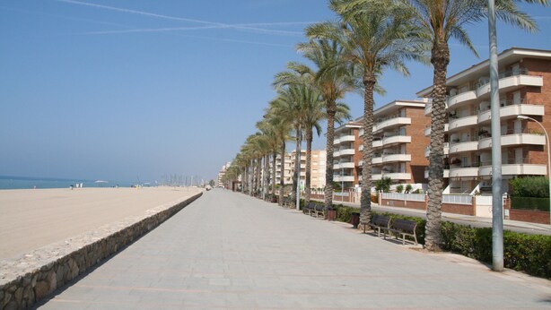 Eine Strandpromenade, gesäumt von Palmen und einer Reihe mehrstöckiger Gebäude mit Balkonen.